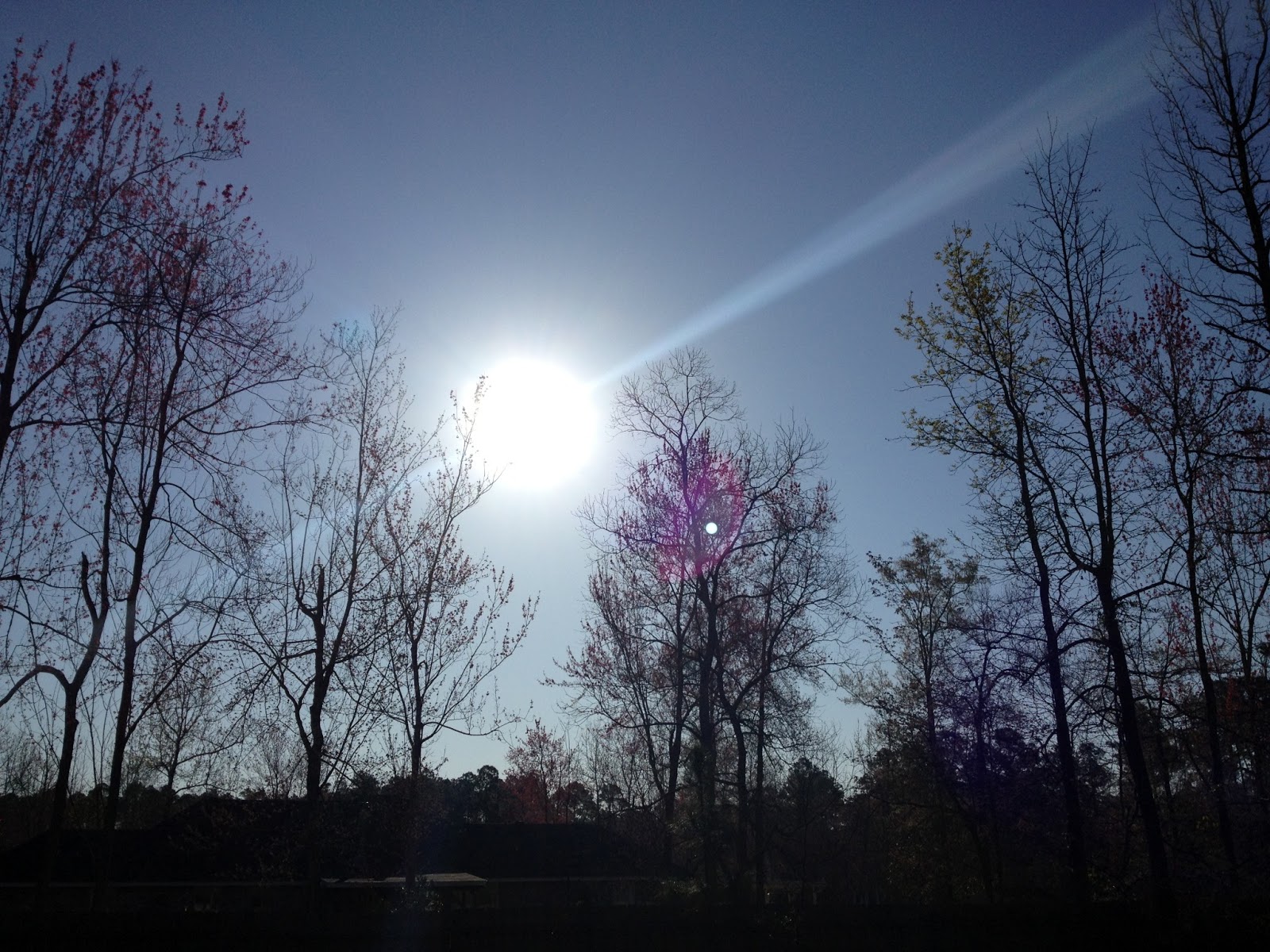 Shelby Latino Weather Springing Forward